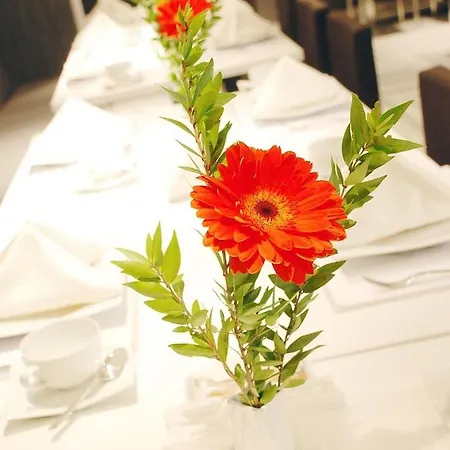 Met 4* İzmir